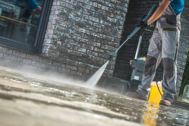 Best Brick and Stone Cleaning in Spring Lake Park, MN