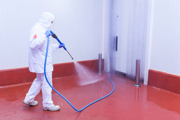 Professional Pressure Washing Services in Spring Lake Park, MN